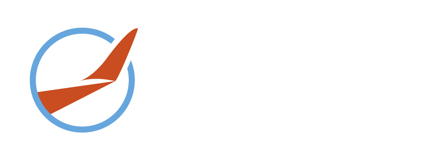 65 wings in motion logo weiss quer